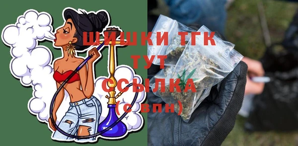 шишки Нягань