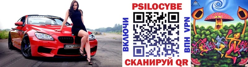 Псилоцибиновые грибы Psilocybe  Курчатов 